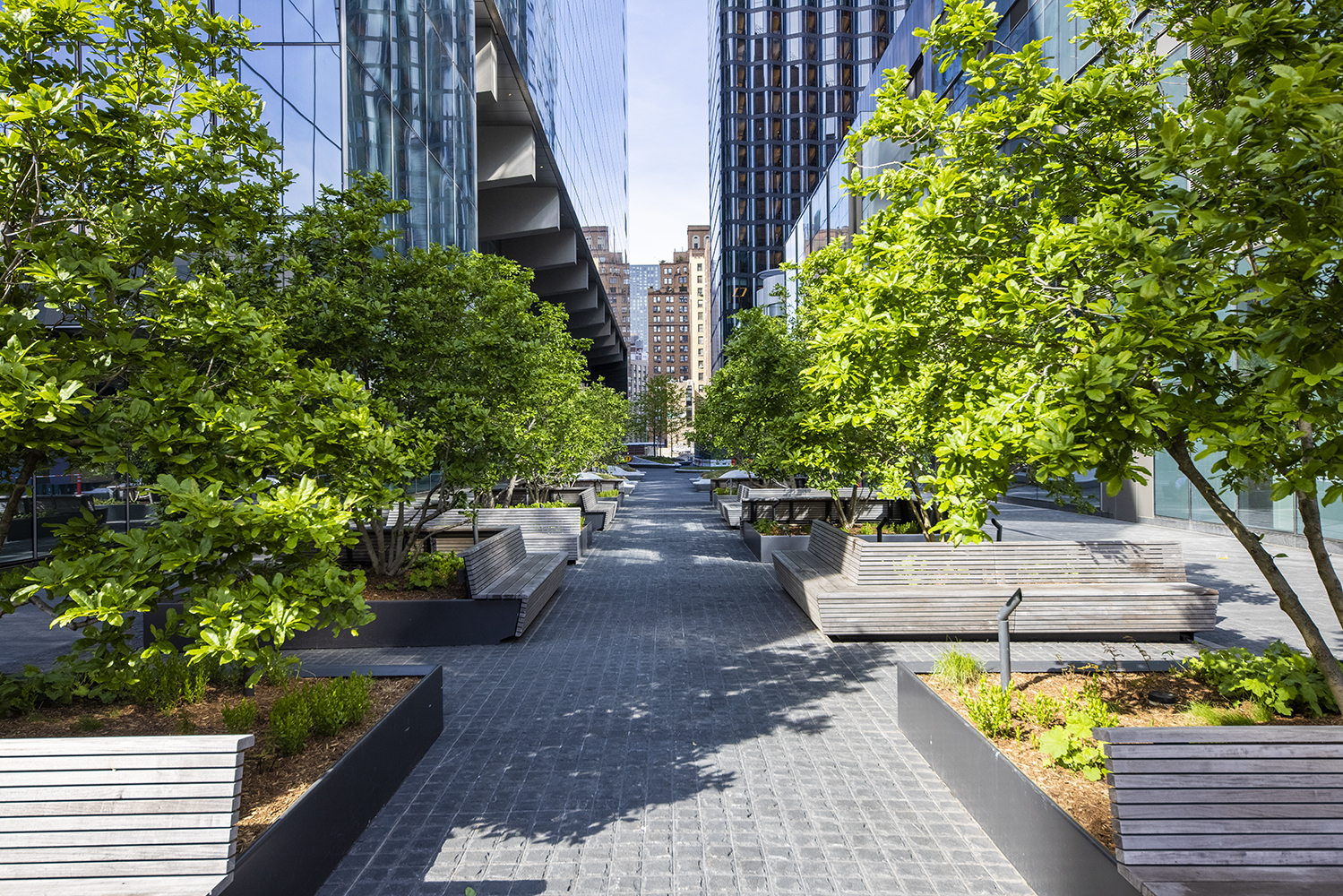 Landscaped public space framed by contemporary architecture
